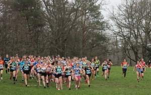 PRE FRANCE CROSS COUNTRY PONTCHATEAU